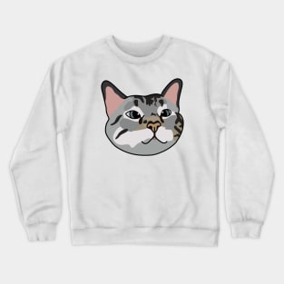 Tabby Cat Crewneck Sweatshirt